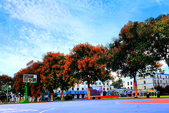 �ܽ�����